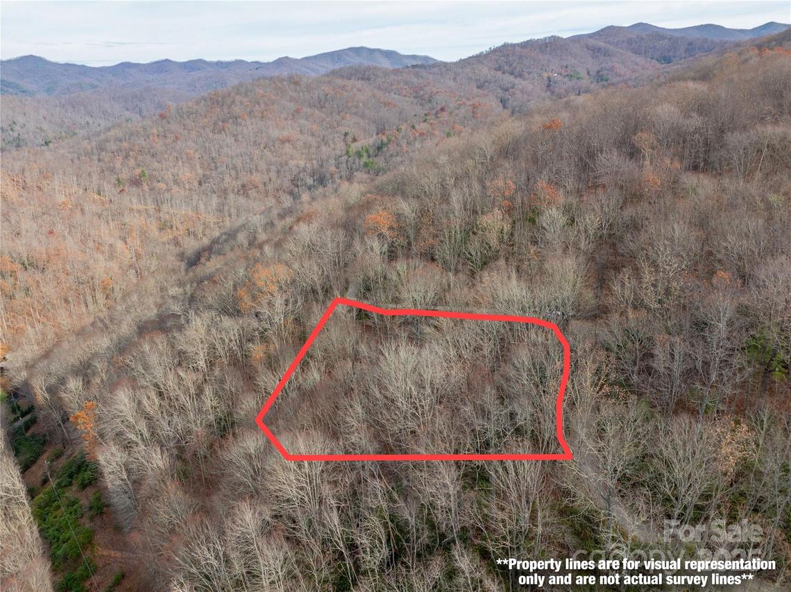 Lot 5 Mt Tabor Rd., Topton, NC 28781