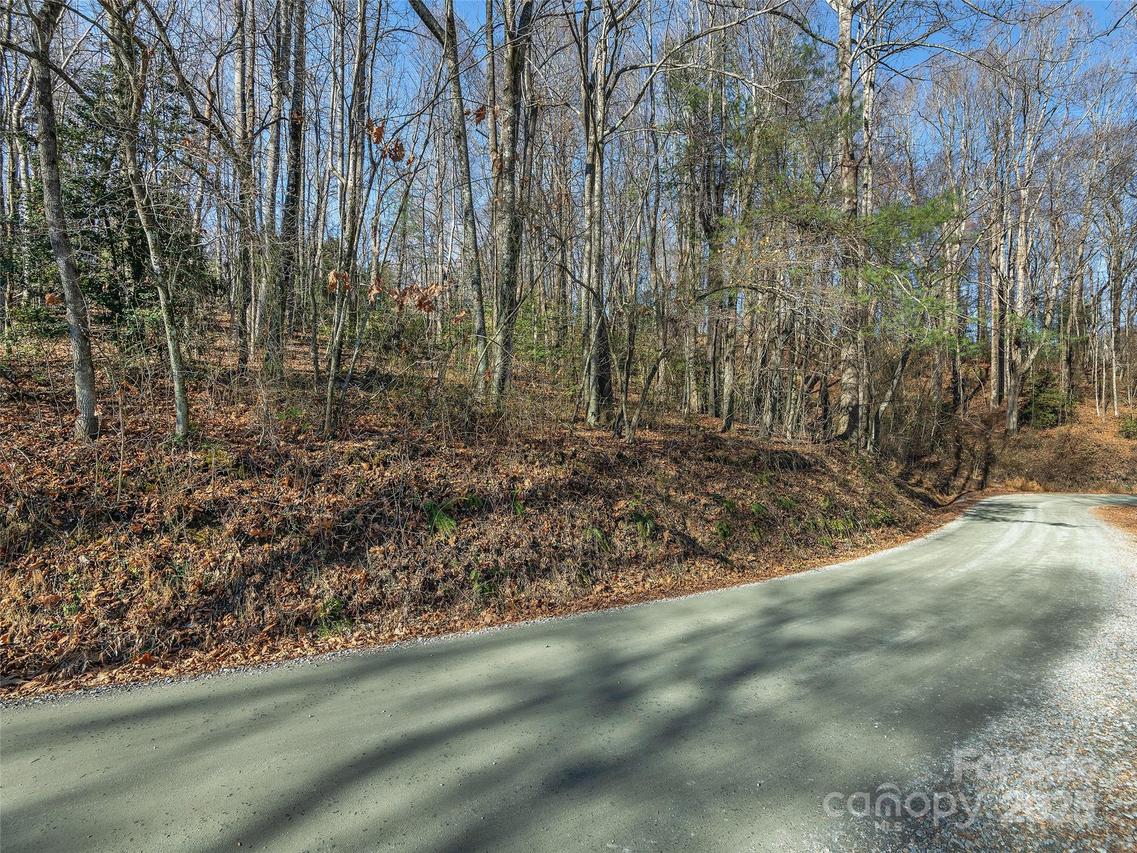 000 Indian Cave Rd., Hendersonville, NC 28739