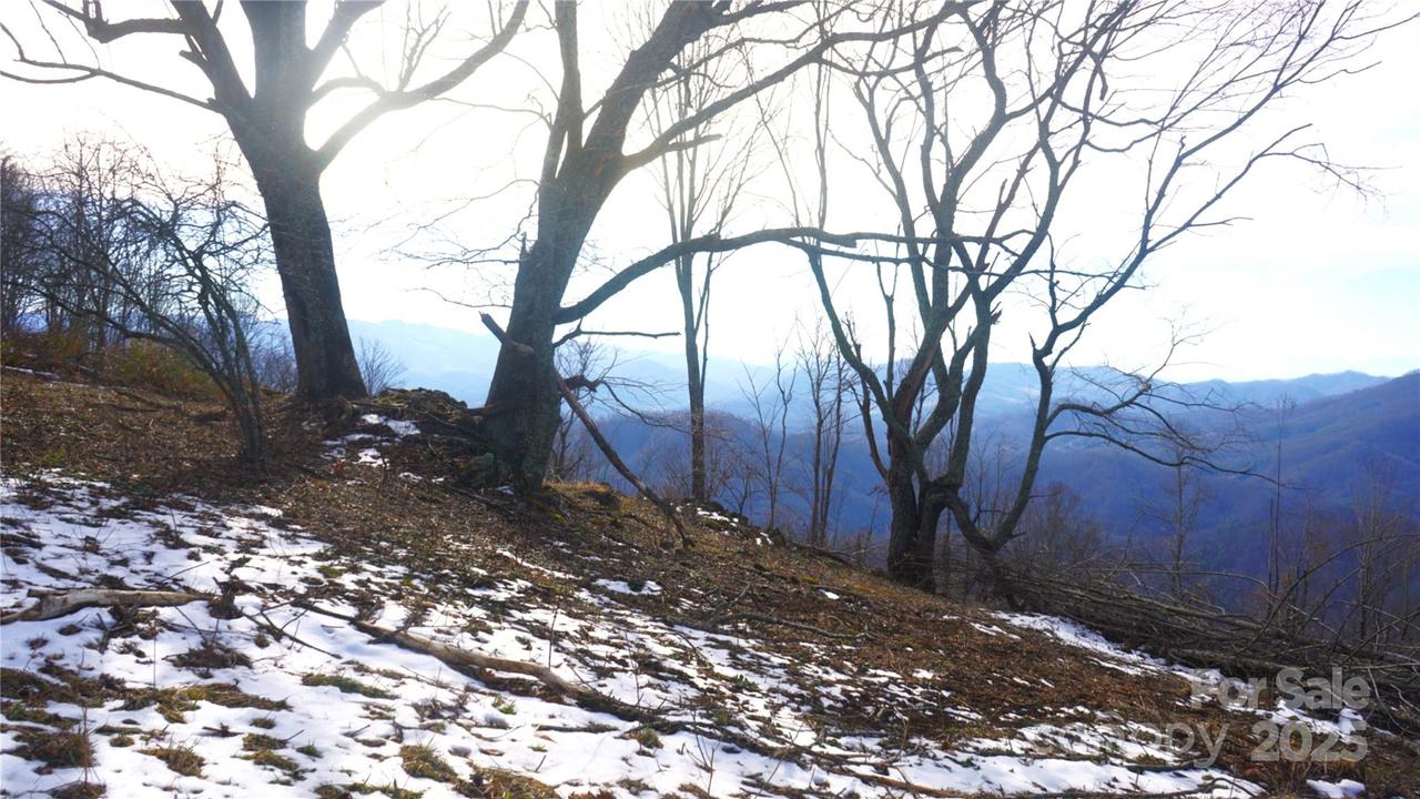 SR-1386 W Sang Branch, Hog Branch Rd., Burnsville, NC 28719