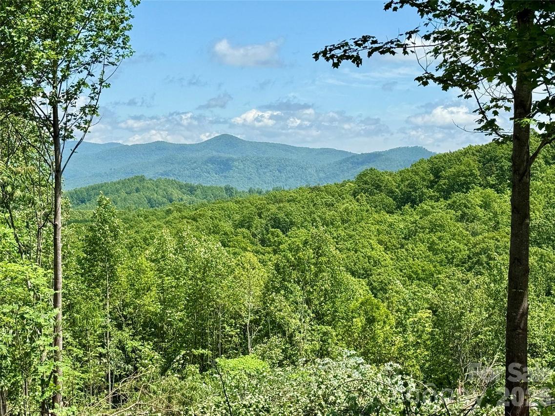 1143 Grandview Peaks Dr., Nebo, NC 28761