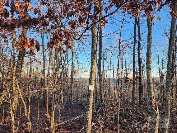 New Homes For Sale This Week That Attend East Rutherford Middle School: December 12th to December 18th