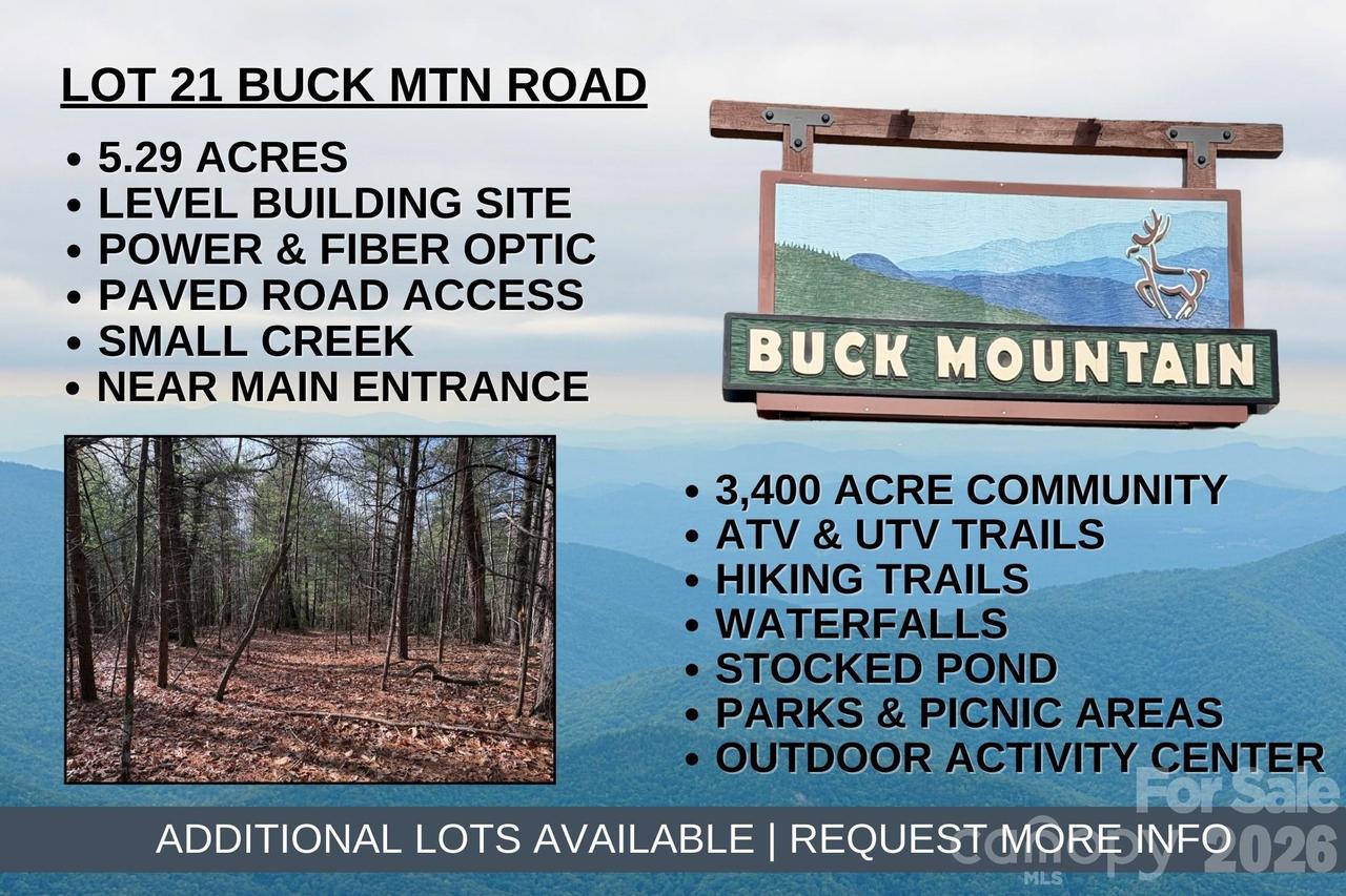 TBD Buck Mountain Rd. #21, Purlear, NC 28665