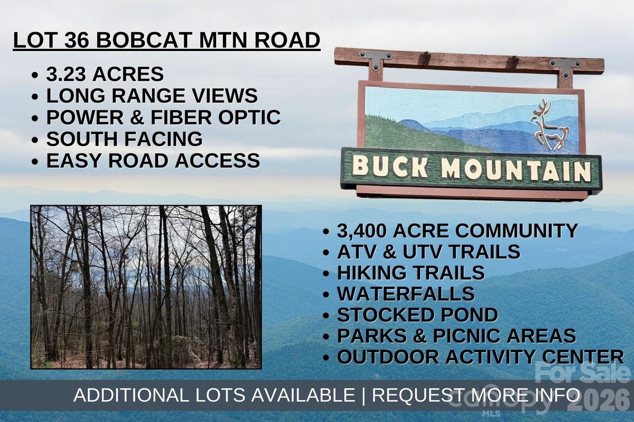 TBD Bobcat Mountain Rd. #36, Purlear, NC 28665
