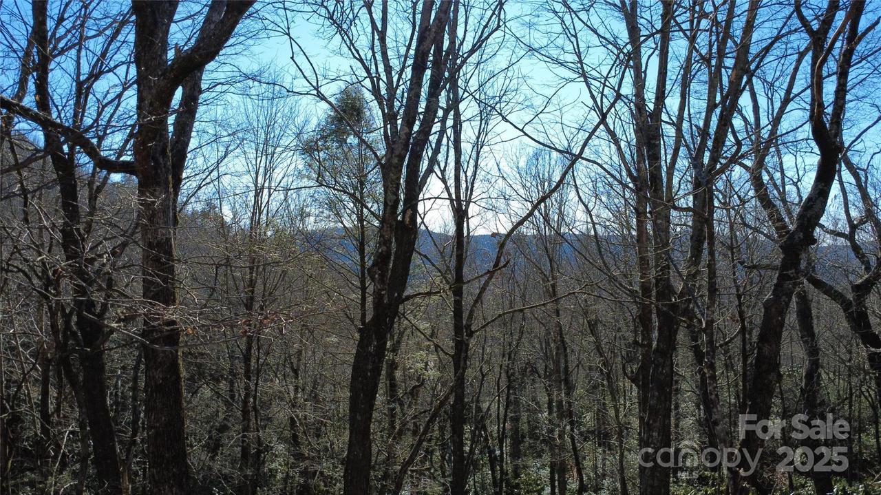 Lot 26 Big Branch Rd., Brevard, NC 28712