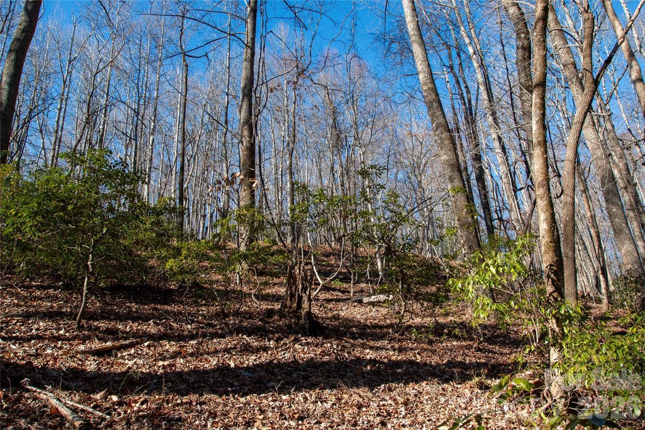 Lot 26 Big Branch Rd., Brevard, NC 28712