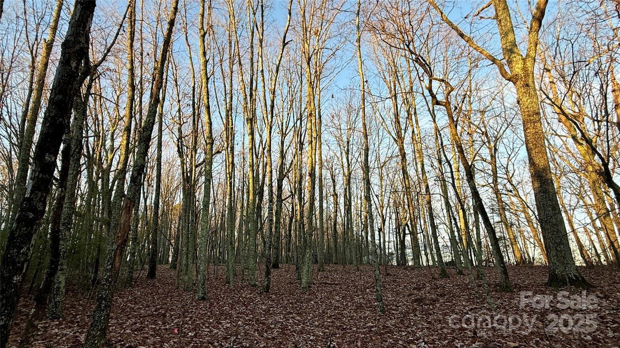 1615 Fox Dairy Rd., Newton, NC 28658