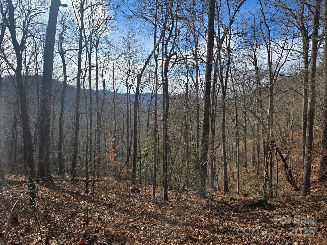 000 Stone Pillow Rd. #14B, Tuckasegee, NC 28783