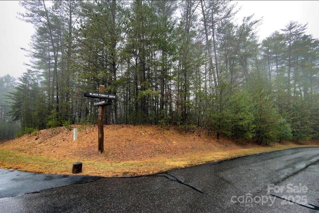 49 Lake James Rd., Marion, NC 28752