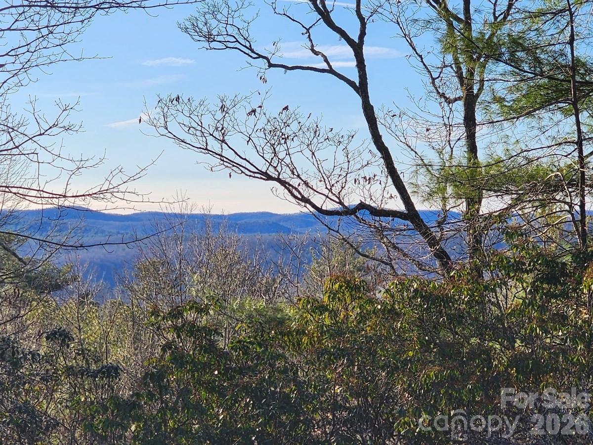 9999 Bulling Creek Rd., Penrose, NC 28766