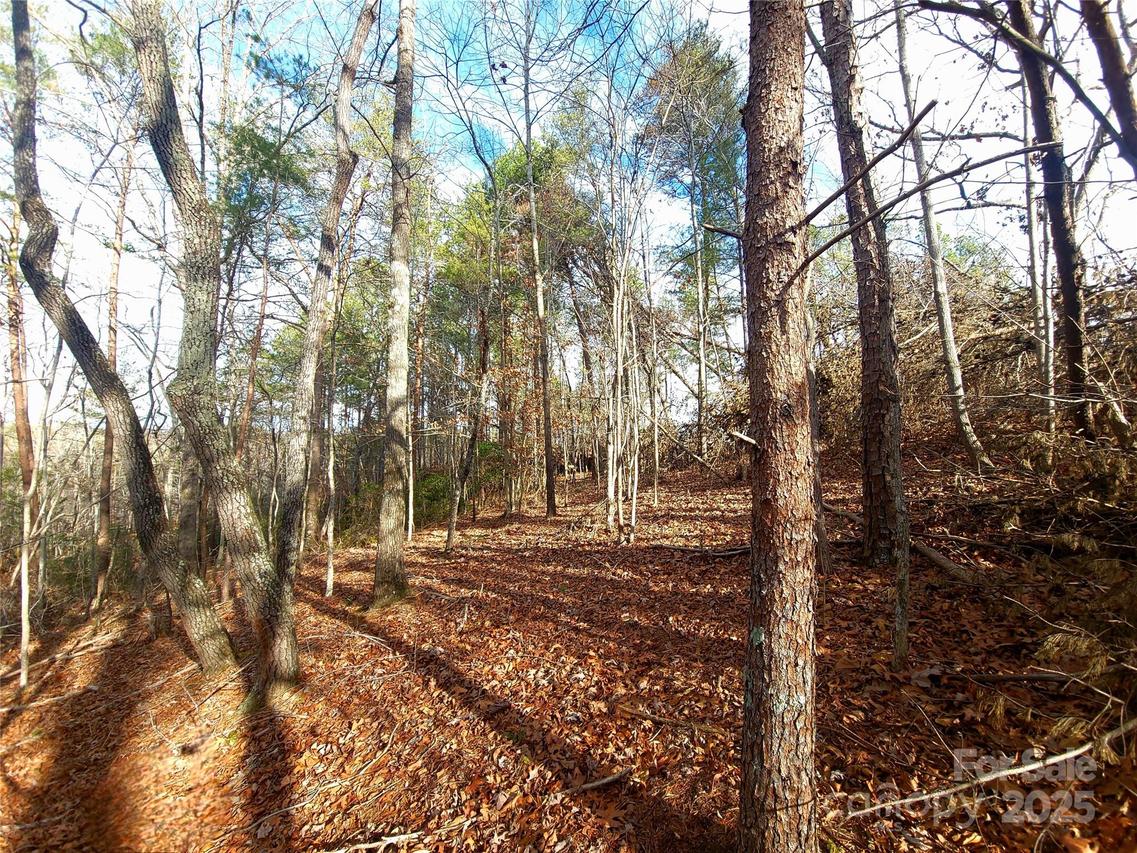 000 Skylark Ln. #8, Tryon, NC 28782