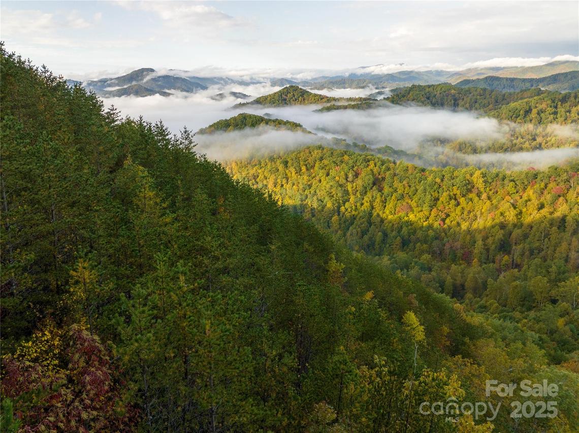 00000 Renfro Rd., Green Mountain, NC 28740