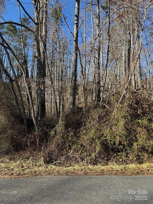 TBD George Mckinney Cir., Spruce Pine, NC 28777
