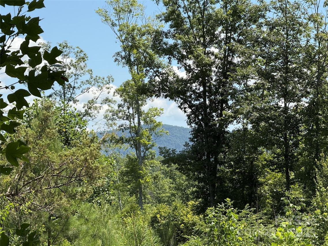 Collins Rd. #3, Bostic, NC 28018