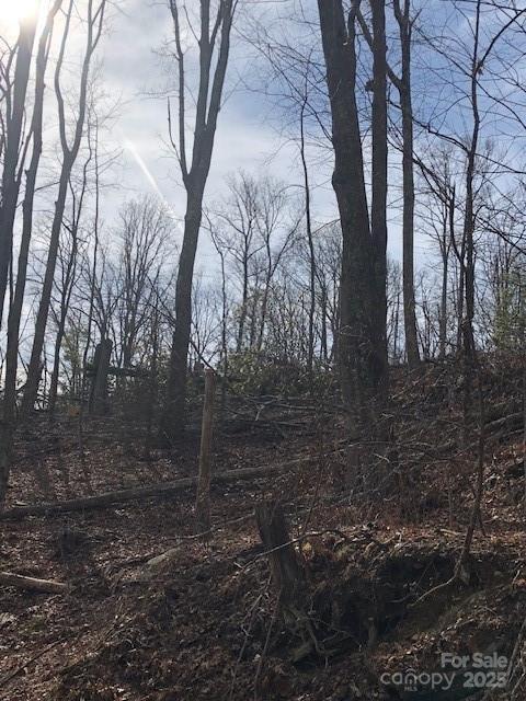 000 Marshall Ridge Rd. #78, Hendersonville, NC 28792