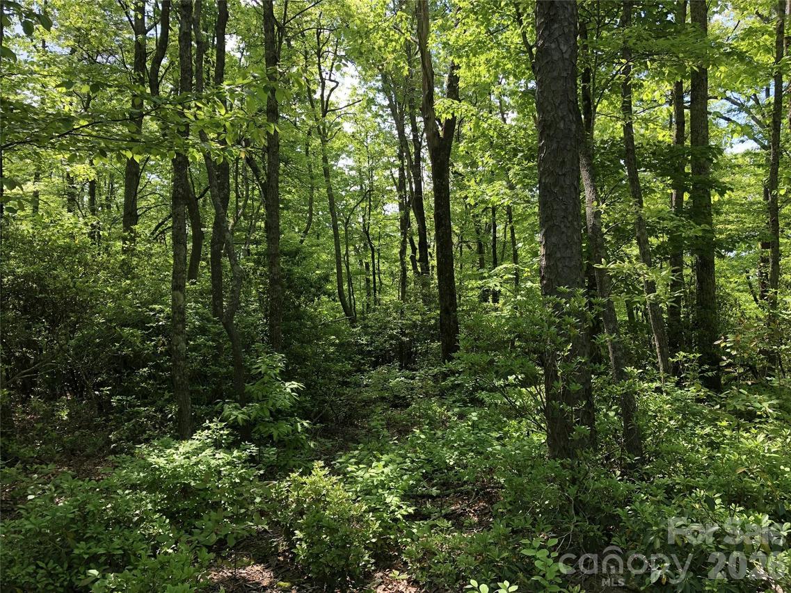 Millard Crossing #15, Hendersonville, NC 28792