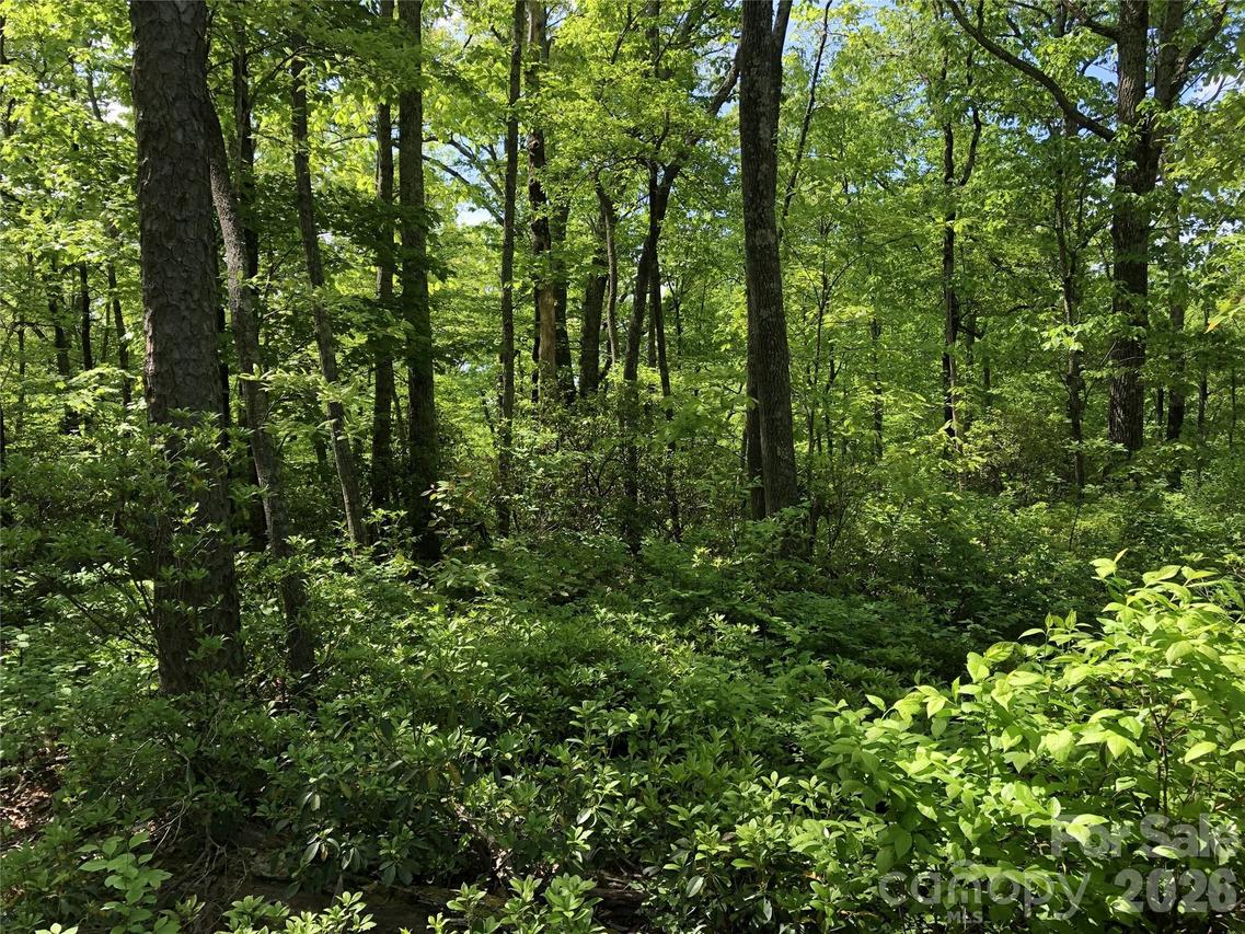 00 Millard Crossing #17, Hendersonville, NC 28792