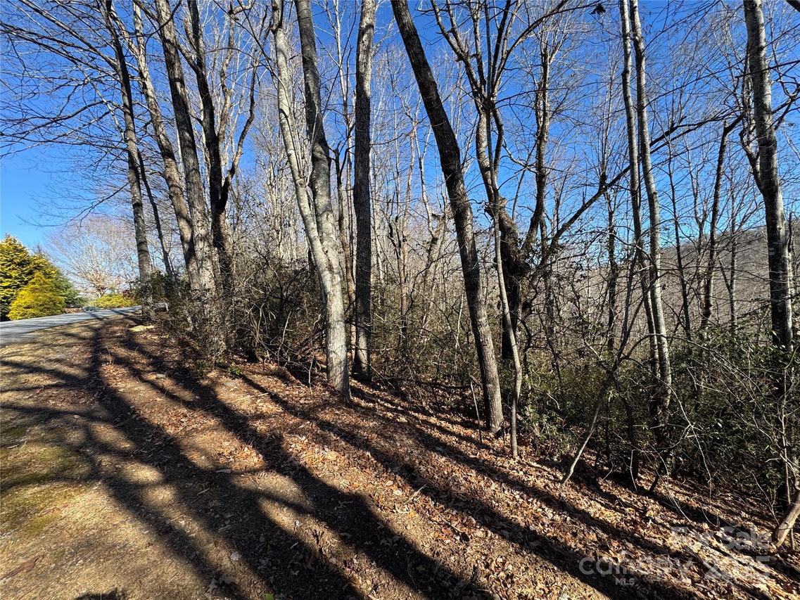 Lot 19 Udoque Ct., Brevard, NC 28712
