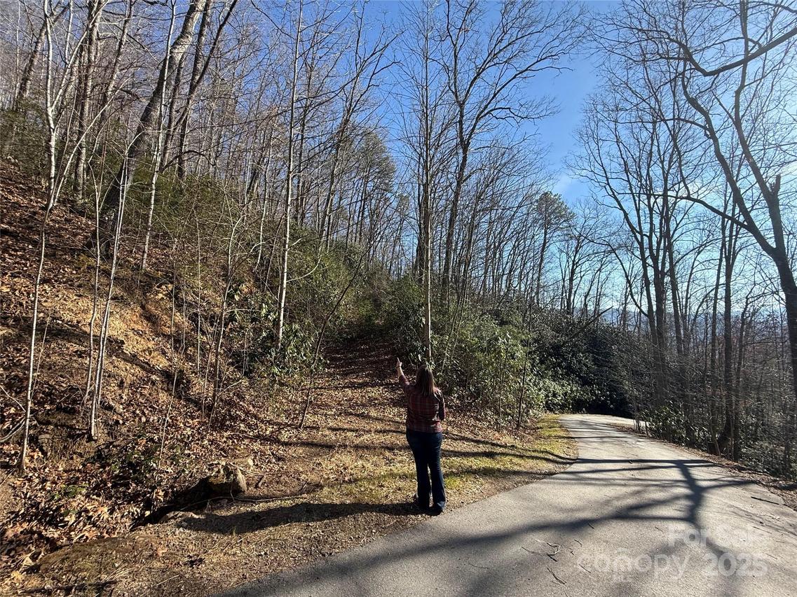 Lot 27 Bernies Tr. #27, Waynesville, NC 28785
