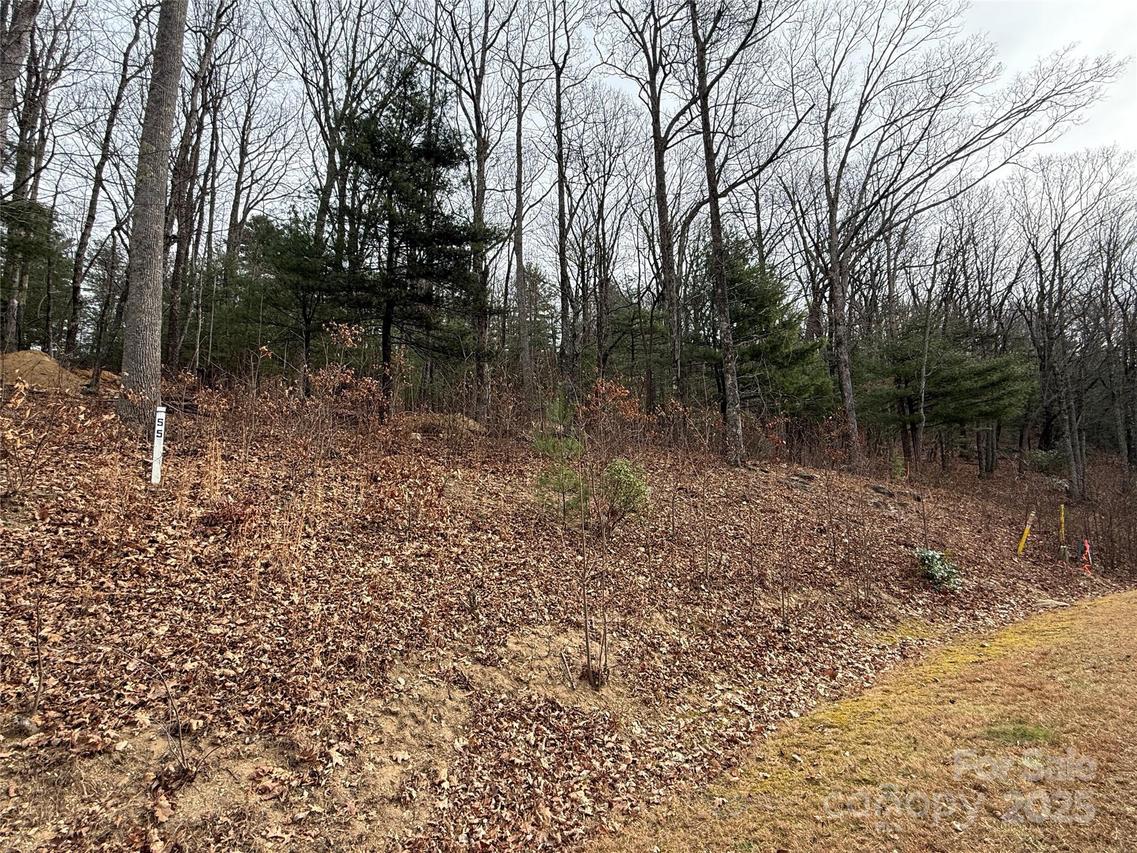 S - 5 Hollybrook Dr. #5, Flat Rock, NC 28731