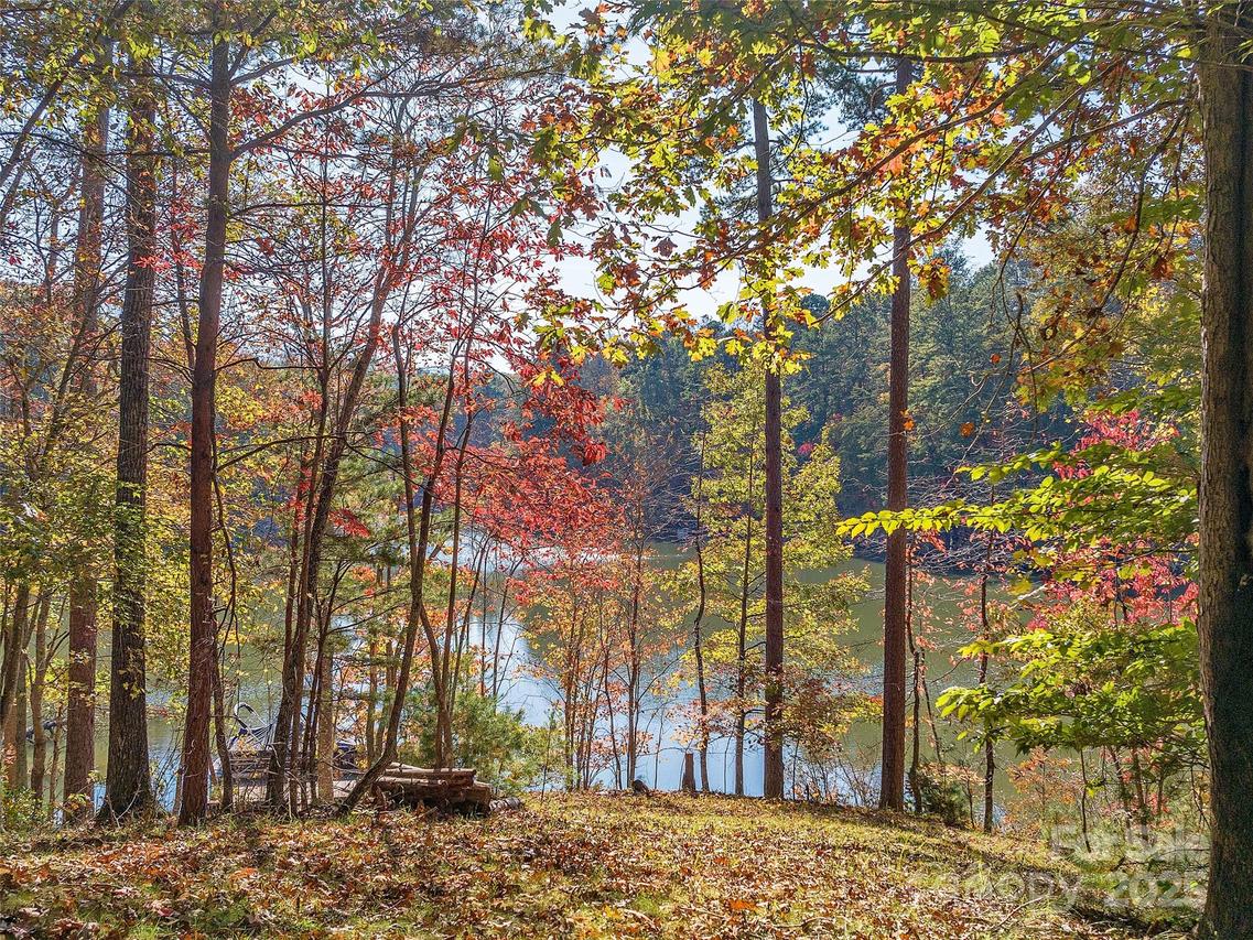 000 South Cove Rd. #17, Mill Spring, NC 28756