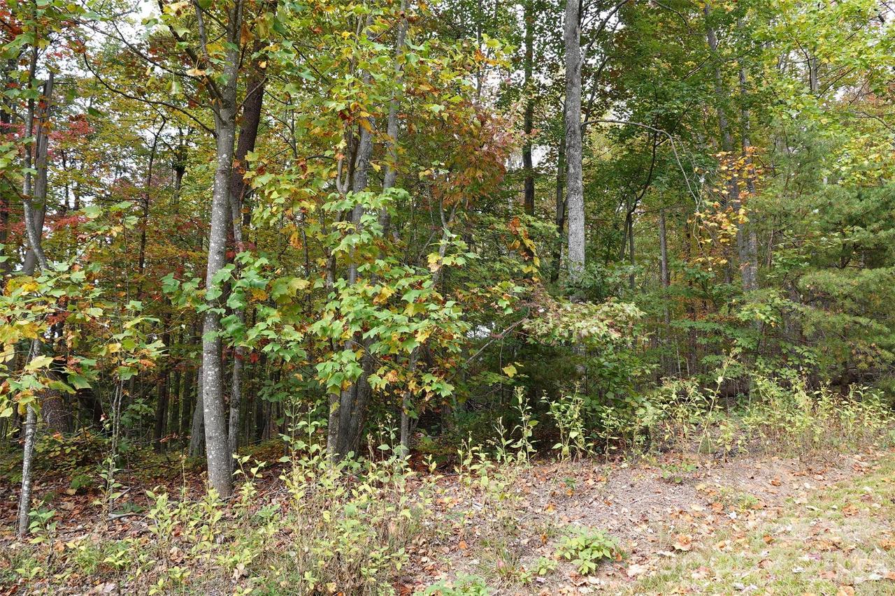 100 Sunset Dr., Bostic, NC 28018