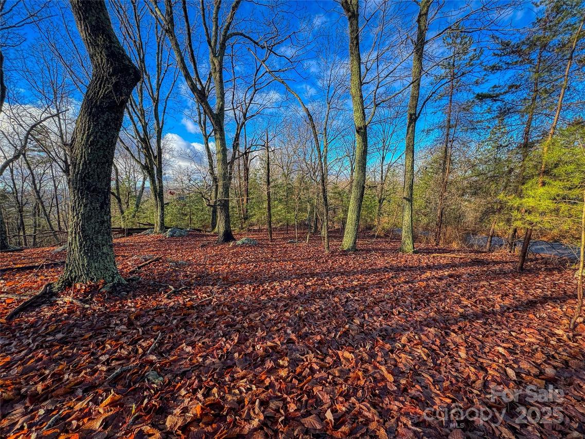 338 Sierra Trace Rd., Denton, NC 27239