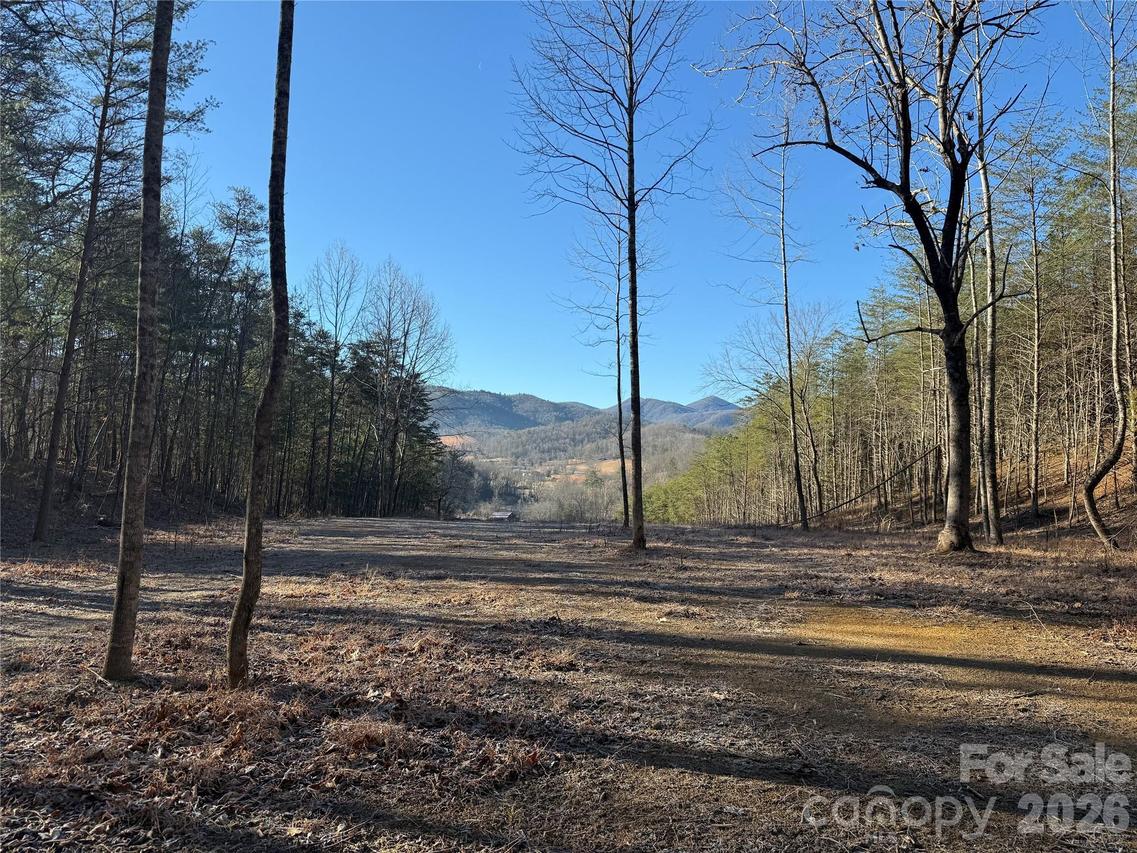 9999 Plum Tree Holler Dr., Hot Springs, NC 28743