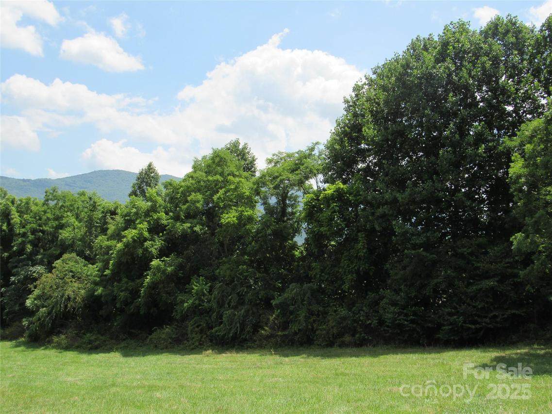 Lt#4 Mystic View Ln., Black Mountain, NC 28711