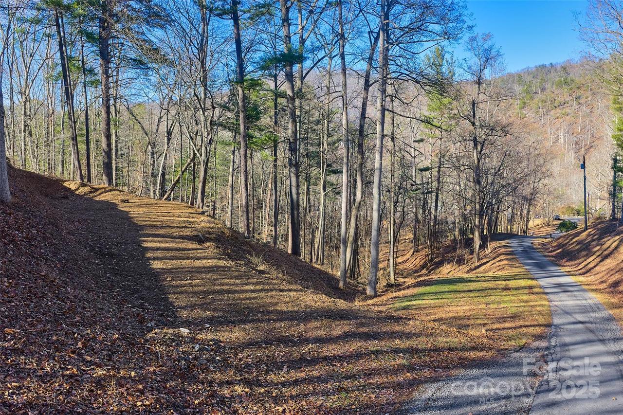 15 Beech Tree Ln., Asheville, NC 28804