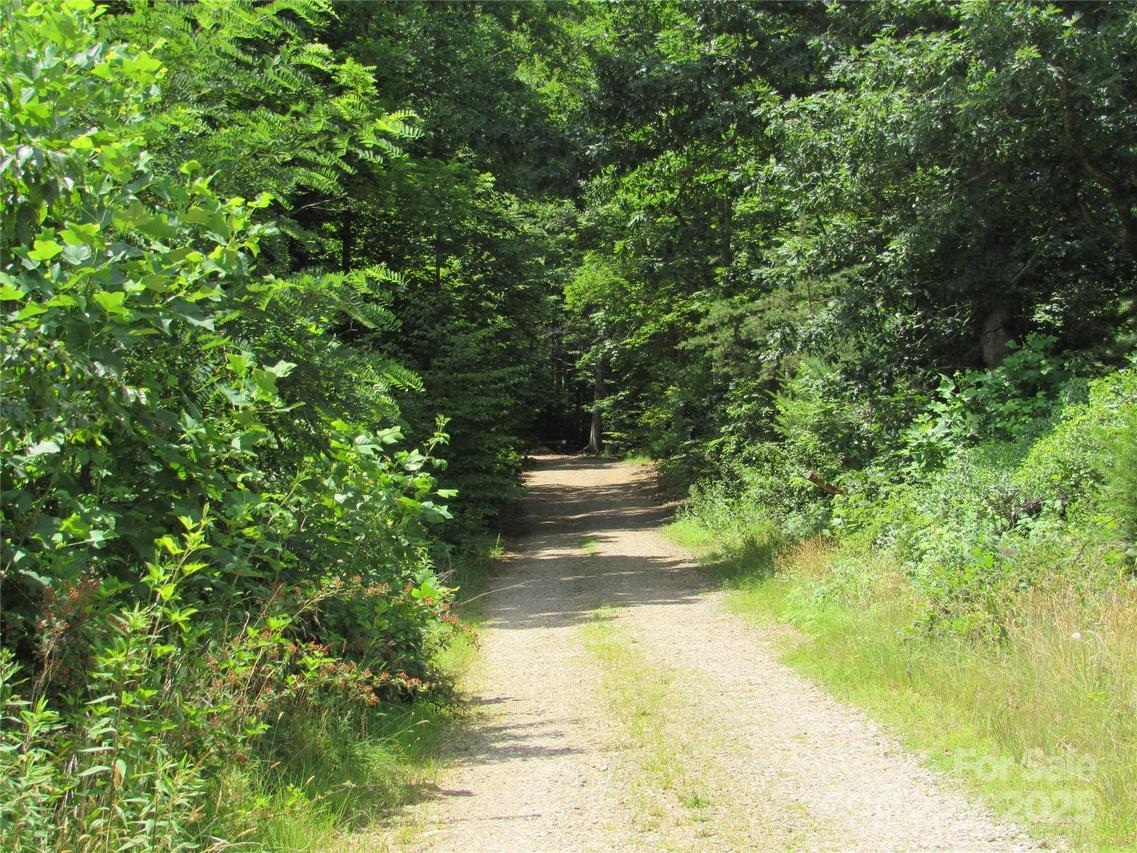 99999 Owen Valley Tr., Black Mountain, NC 28711