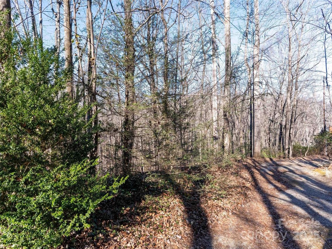 00 Mountain Page Rd. #17,18,19, Saluda, NC 28773