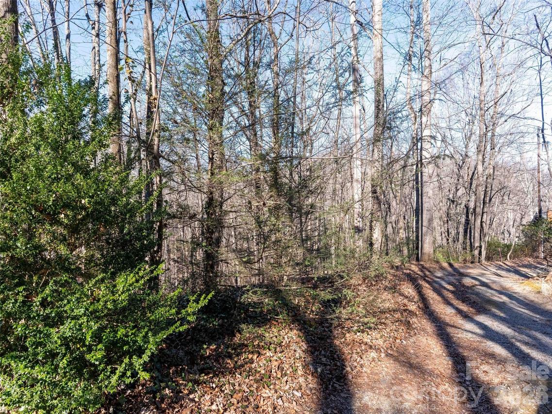 00 Mountain Page Rd. #17,18,19, Saluda, NC 28773