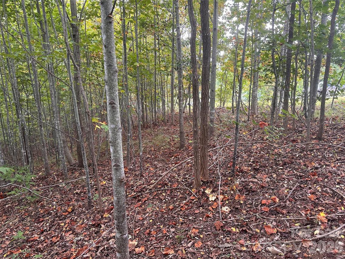 311 Scenic Vista Dr. #254, Nebo, NC 28761