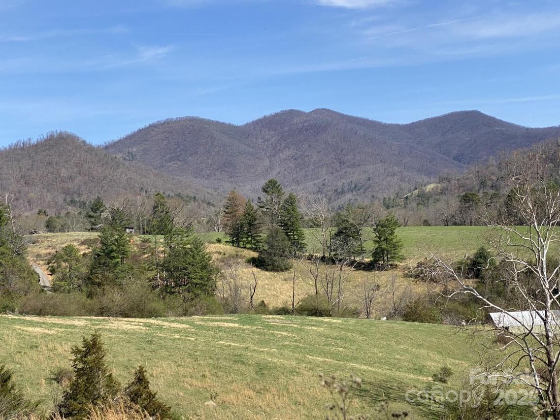 1 Pink Fox Cove Rd., Weaverville, NC 28787