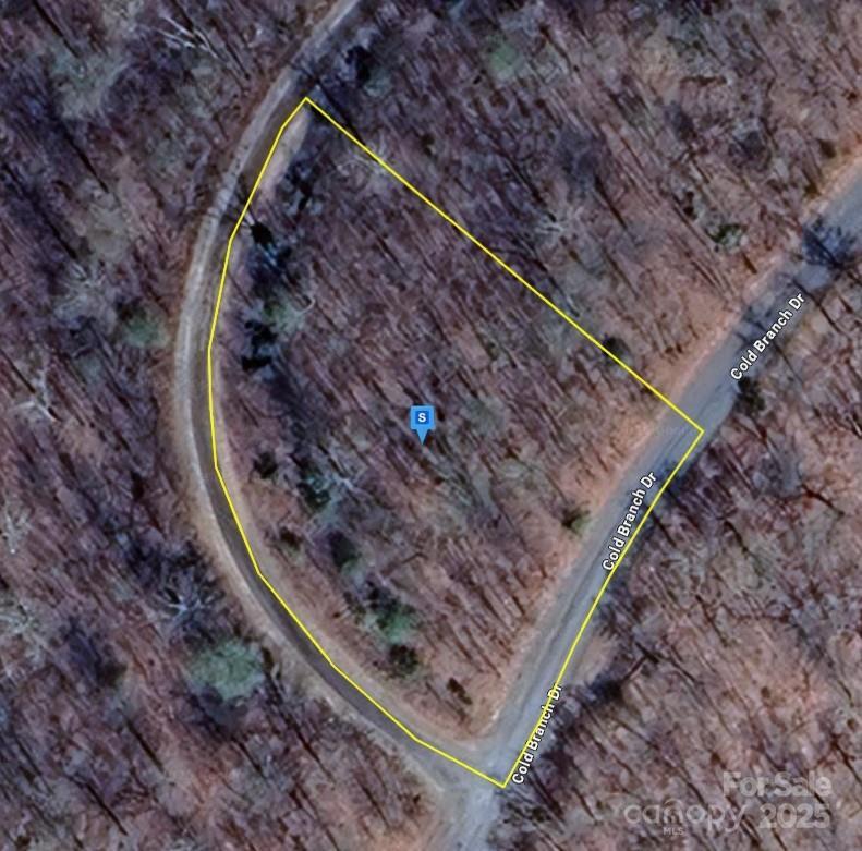 1225 Cold Branch Dr., Hayesville, NC 28904