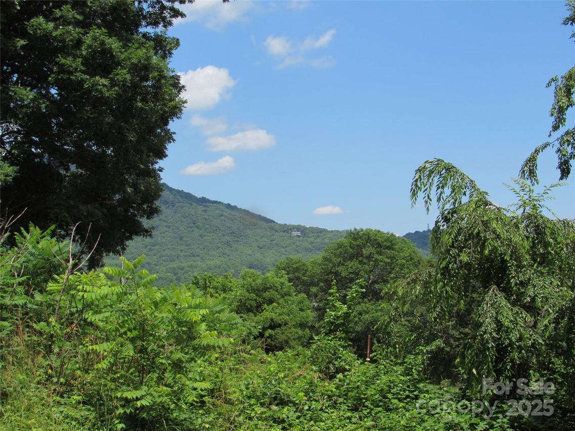 Lt#4 Mystic View Ln., Black Mountain, NC 28711