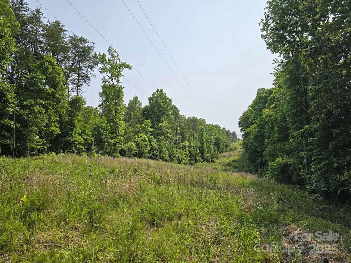 Lot 26 Grandview Dr. #26, Rutherfordton, NC 28139