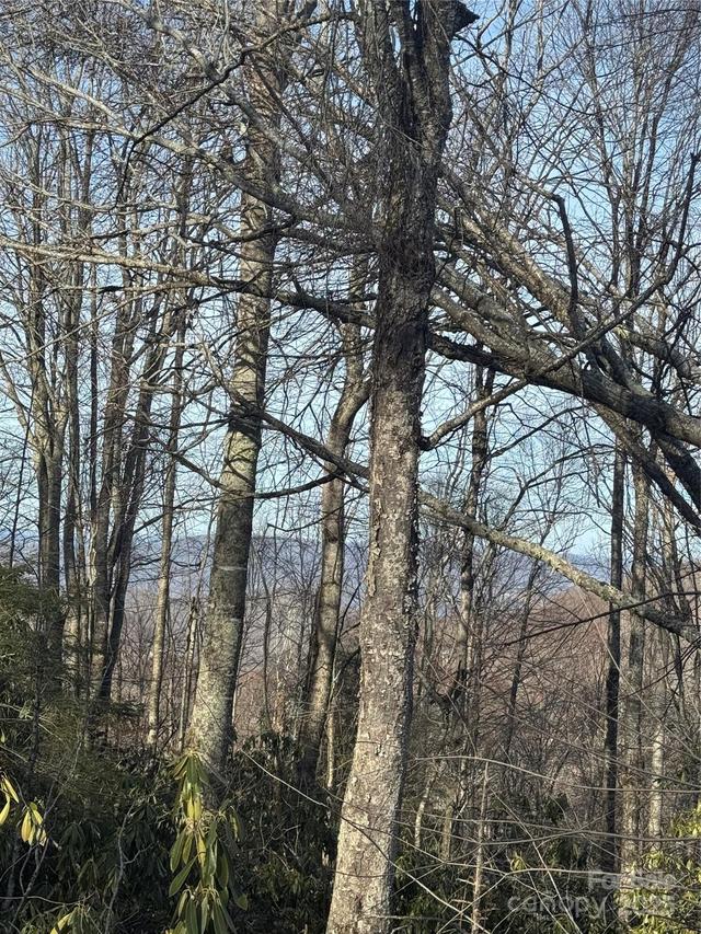 226 Greenbriar Rd. #322 C, Beech Mountain, NC 28604