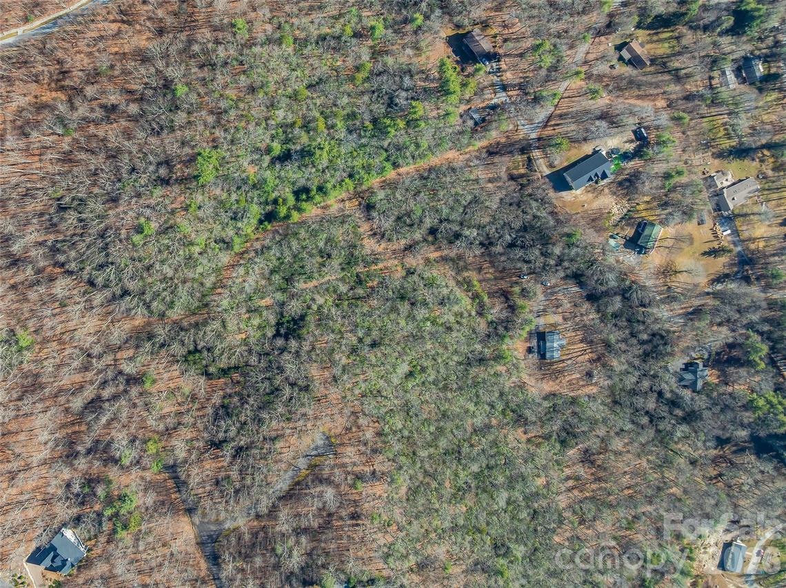 9999 Coy-evie Ln., Laurel Park, NC 28739