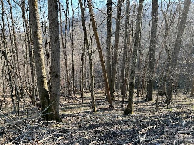 Lot 20 Trillium Ln., Mars Hill, NC 28754