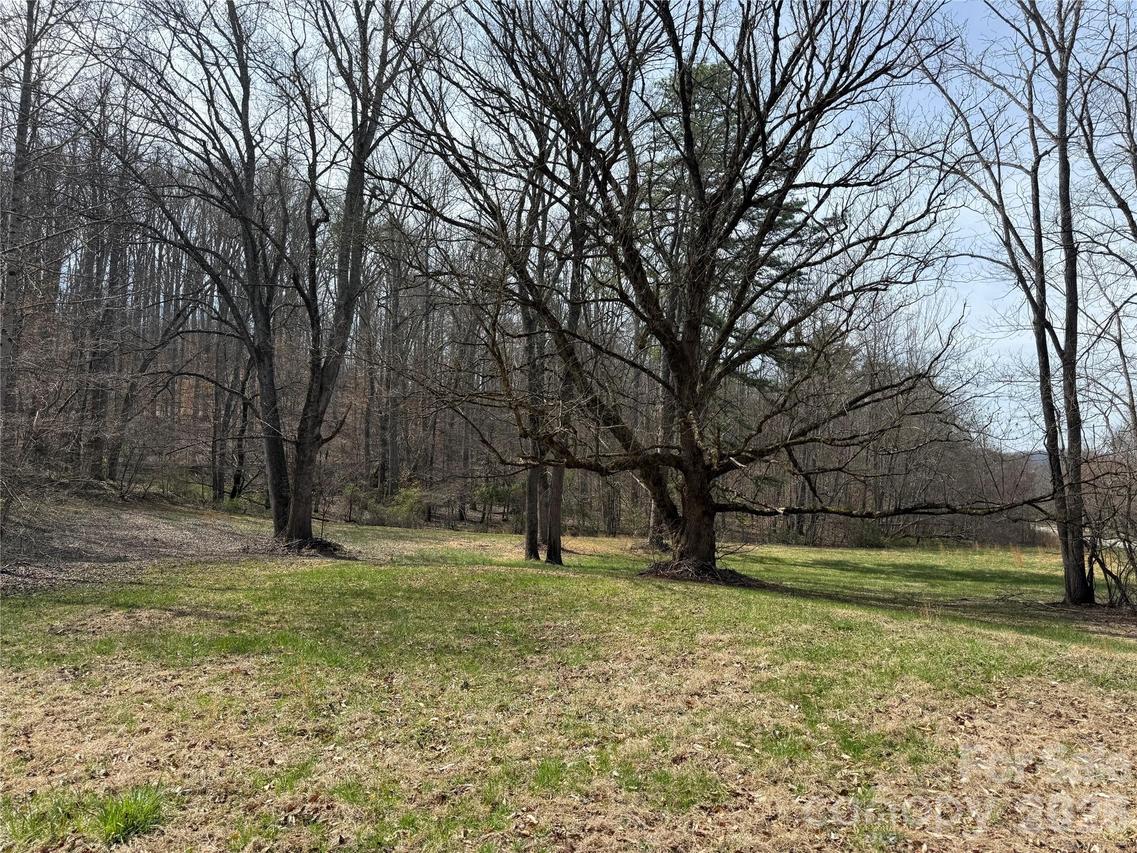 57 N Fork Rd., Barnardsville, NC 28709