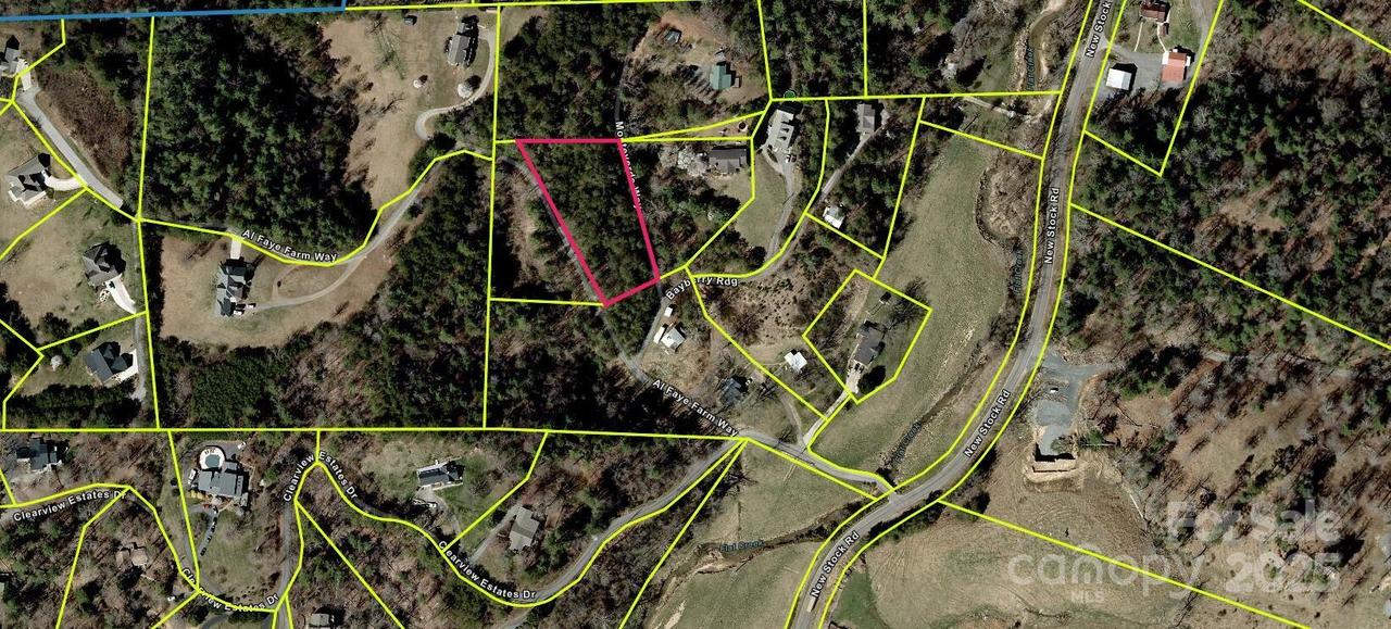 Al Faye Farm Way, Weaverville, NC 28787