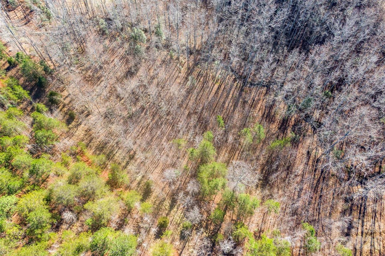 Riding Ring Dr. #12, Ellenboro, NC 28040