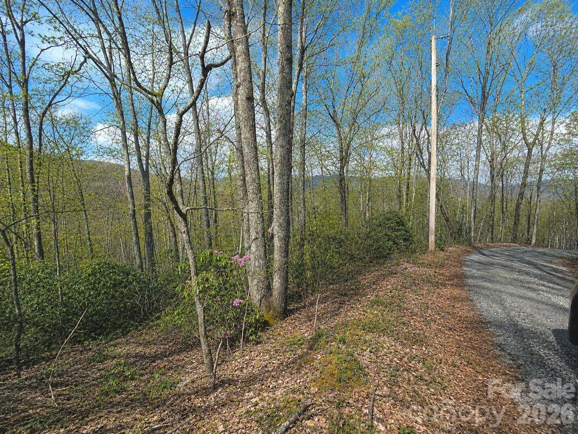 10 Tall Oaks Dr. #58A & 58B, Maggie Valley, NC 28751