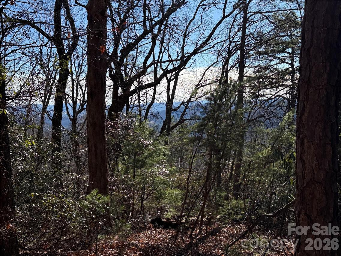 TBD Bobcat Mountain Rd. #27, Purlear, NC 28665