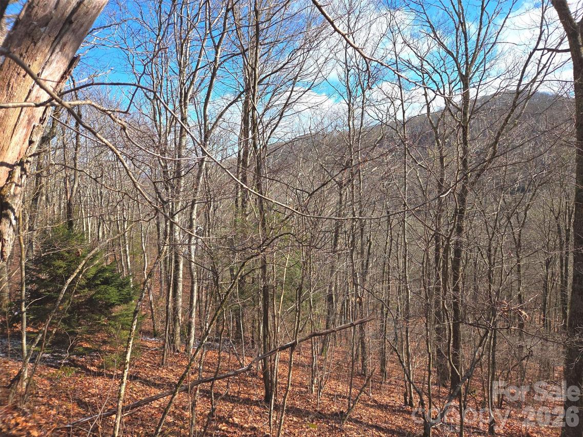 220 Sky Dr. #PT-11, Maggie Valley, NC 28751