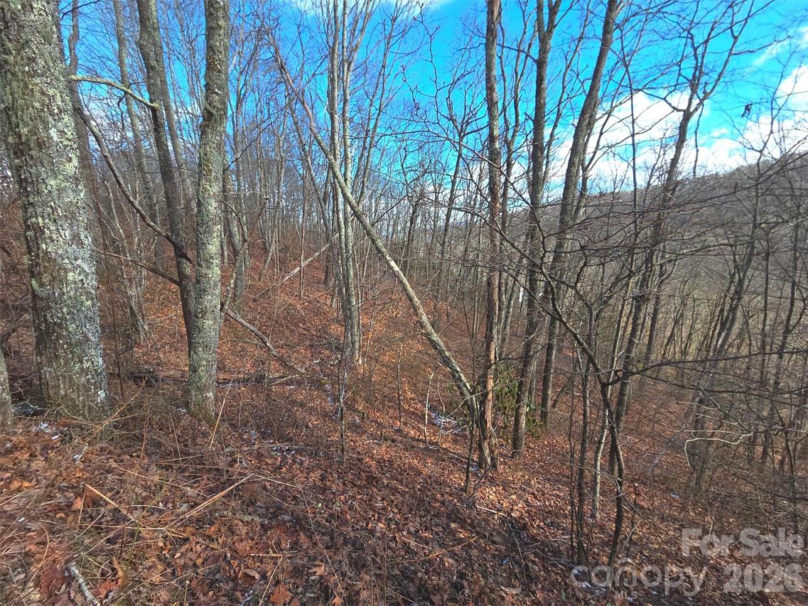 220 Sky Dr. #PT-11, Maggie Valley, NC 28751