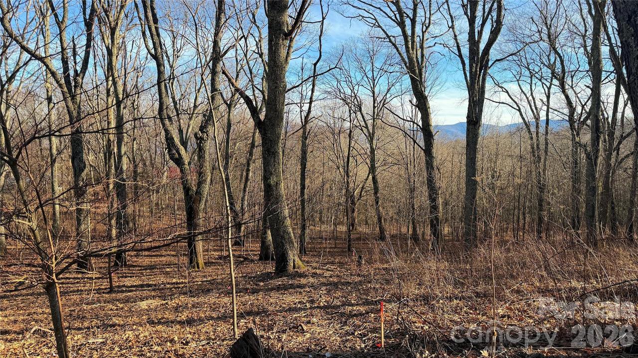 114 Eagle View Cir., Waynesville, NC 28786