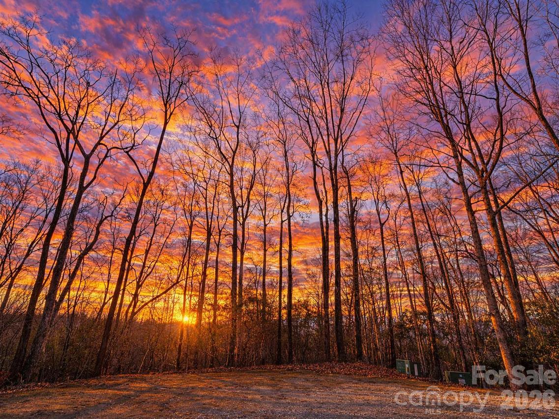 19 Cheestoonaya Way #25, Brevard, NC 28712