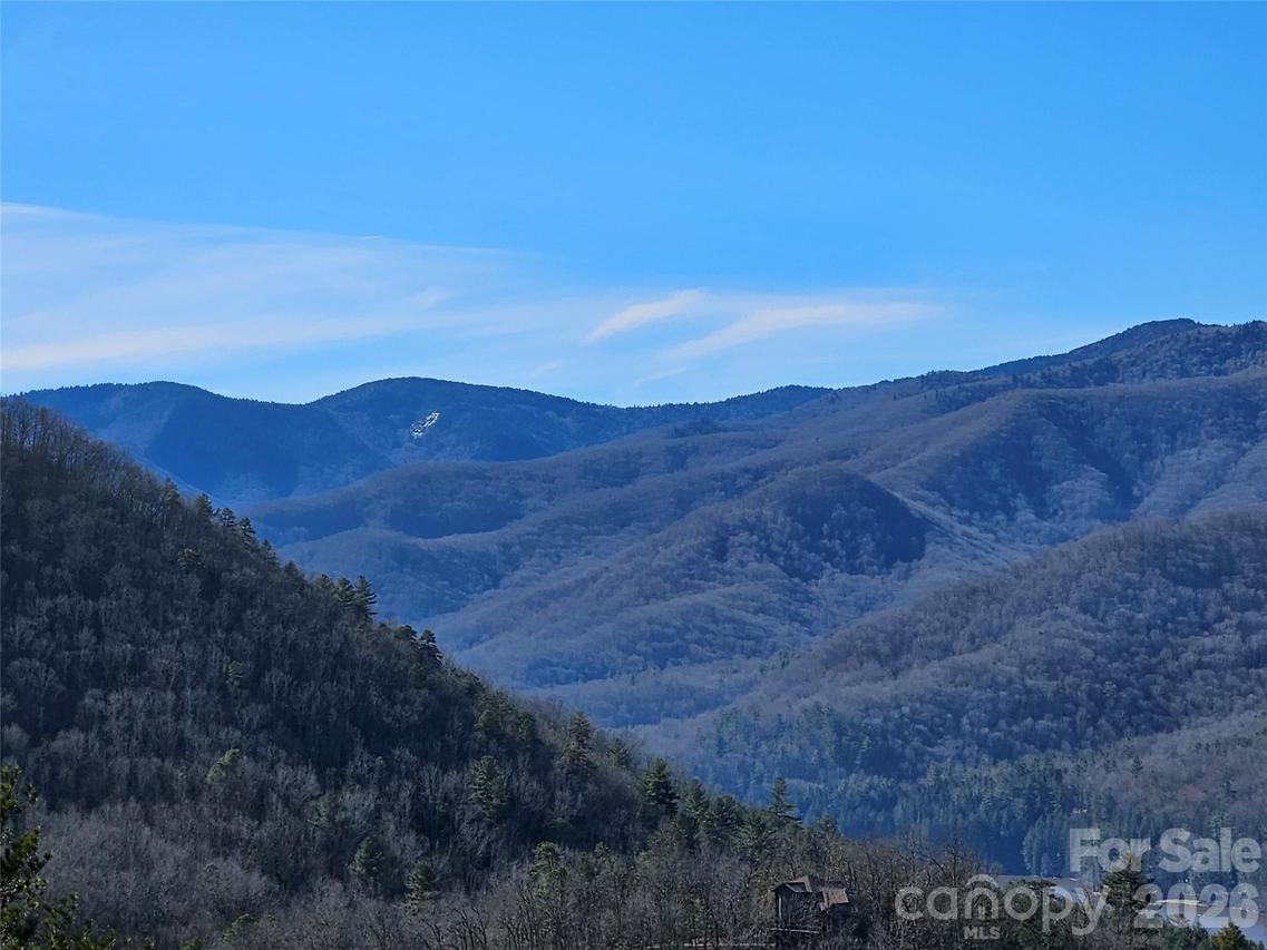 000 Blue Vista Rd., Canton, NC 28716